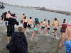 polarbearplunge8